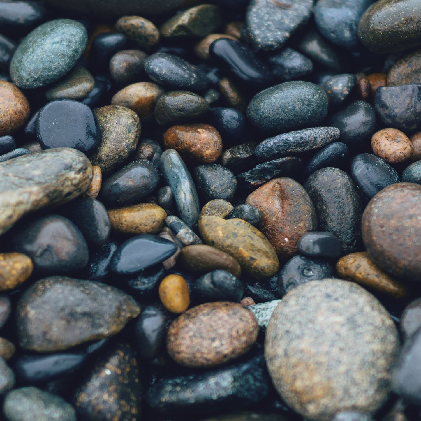 The Art of Shaving Unscented Shaving Cream (5 oz)