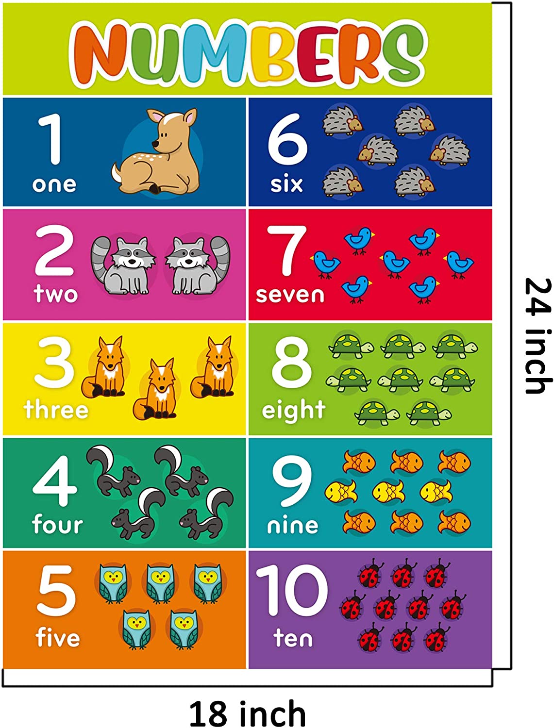 Youngever Alphabet and Numbers 1-10 Laminated Educational Posters