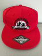 Cooperstown All Star Village Cap Hat Baseball Custom Fit Pro Series