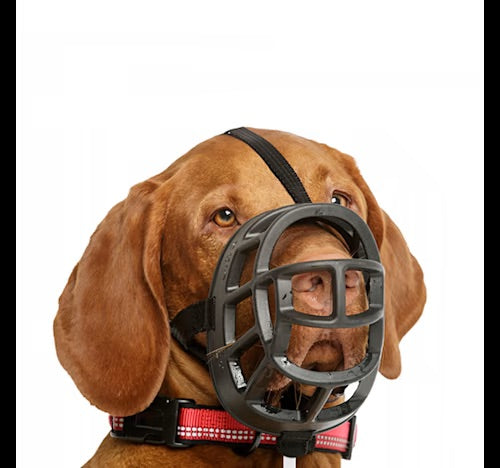 Baskerville Ultra Black Muzzle for Dogs, Size 4 Medium Dogs