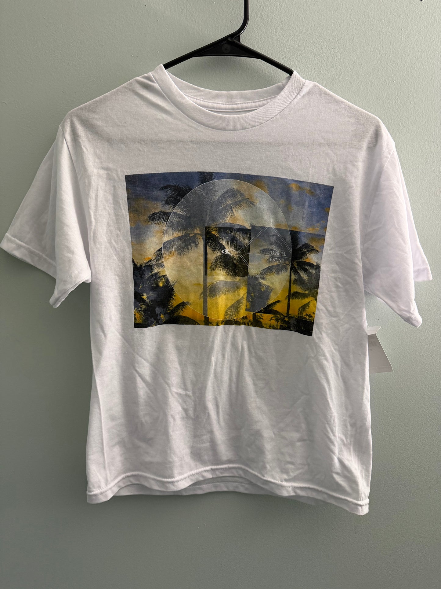 O'Neill Photoreal Palm Tree Graphic T-Shirt