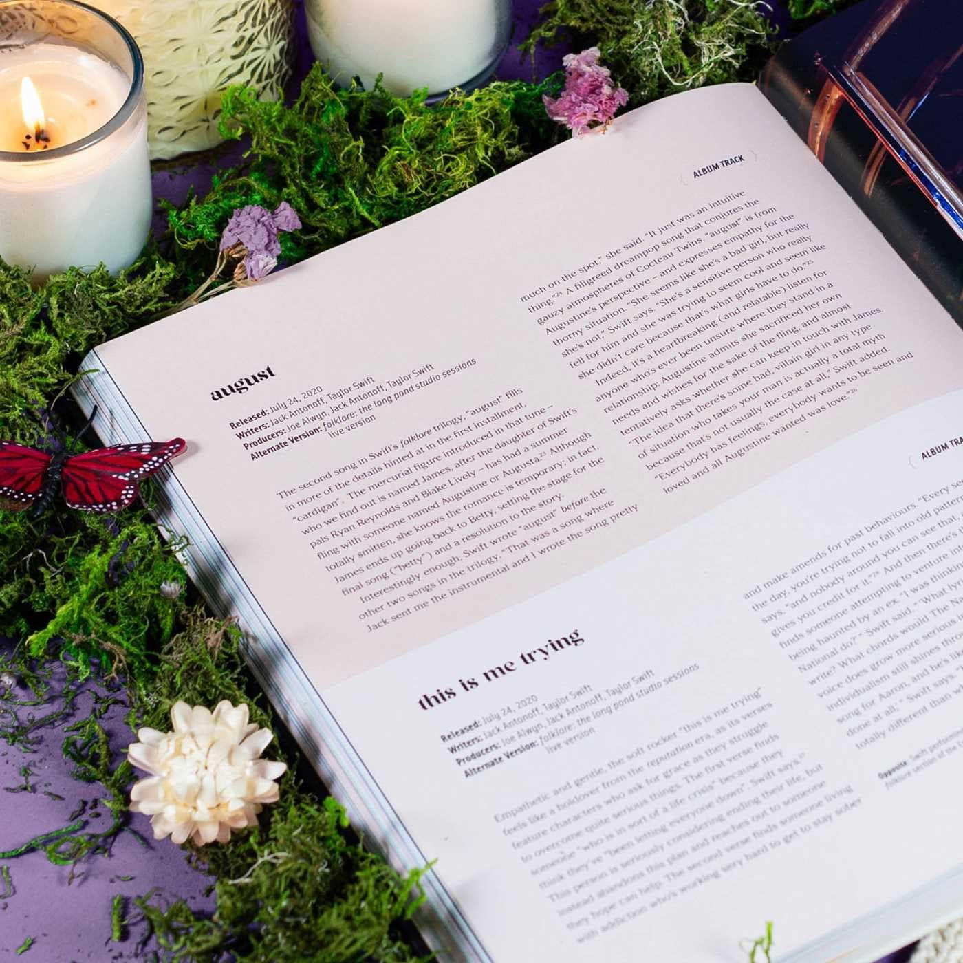 Taylor Swift: The Stories Behind the Songs Hardcover Book- With Scuffs