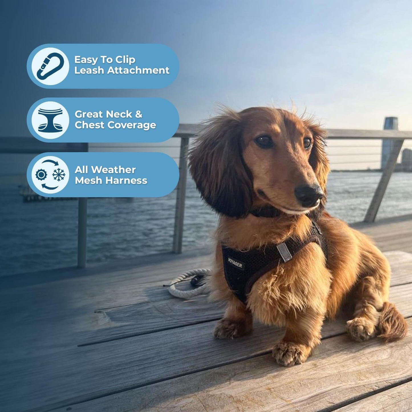 All Weather Mesh Reflective, No Pull Harness for Medium Dogs