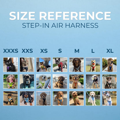 All Weather Mesh Reflective, No Pull Harness for Medium Dogs