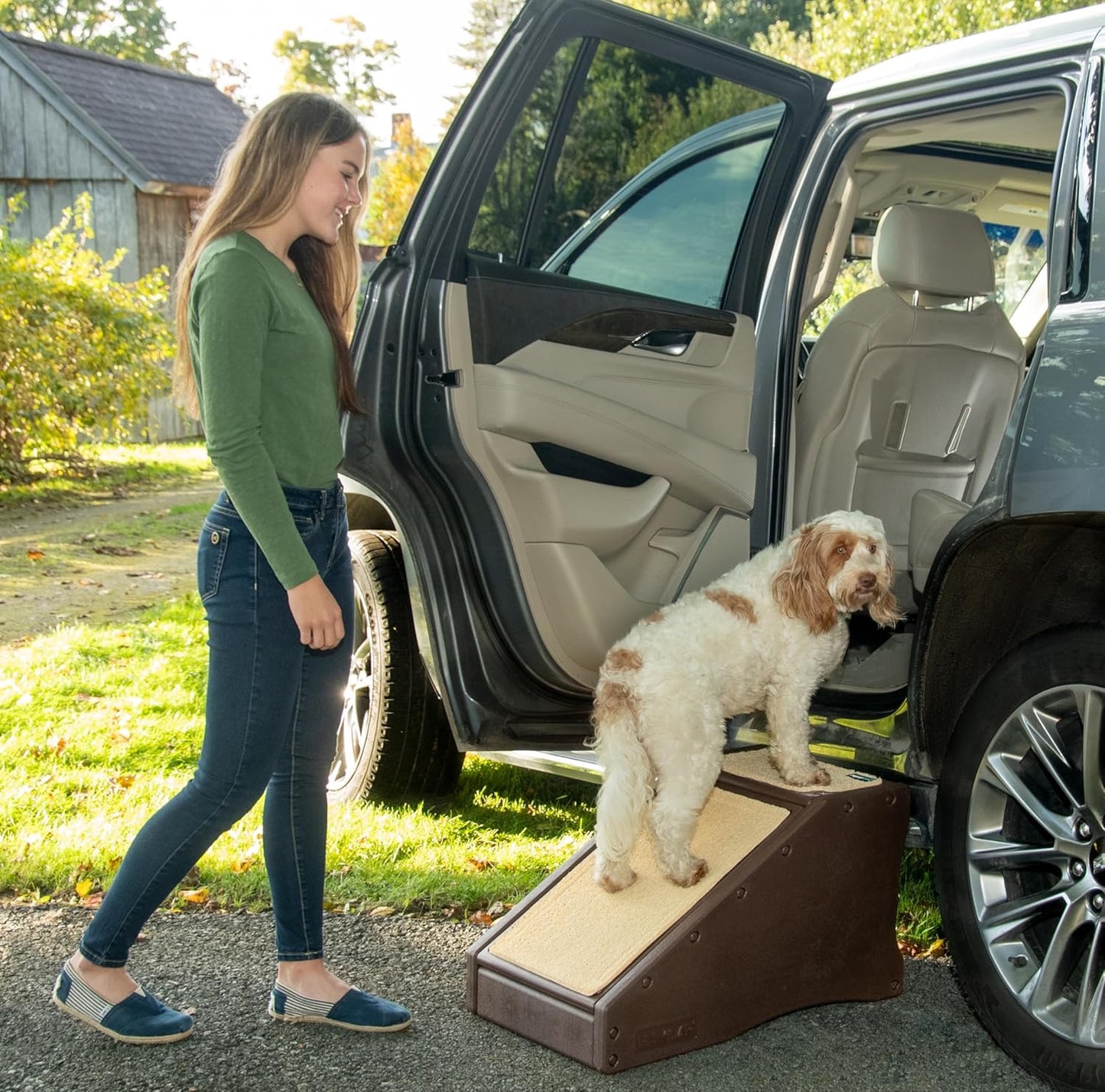 Pet Gear Stramp Stair and Ramp Combination for Dogs/Cats, Portable
